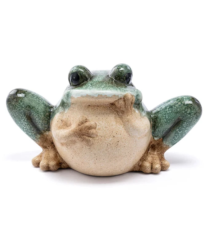 Sitting Frog Holding Face