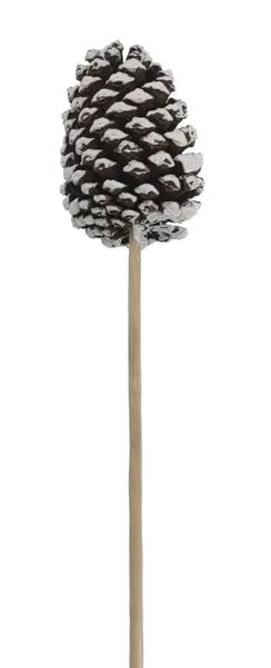 3.75"-4.5"L Pinecone On 9"L Pick