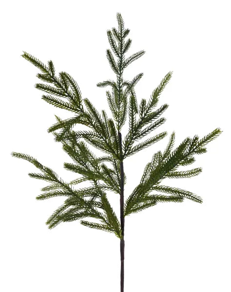29"L Soft Tip Norfolk Pine Spray