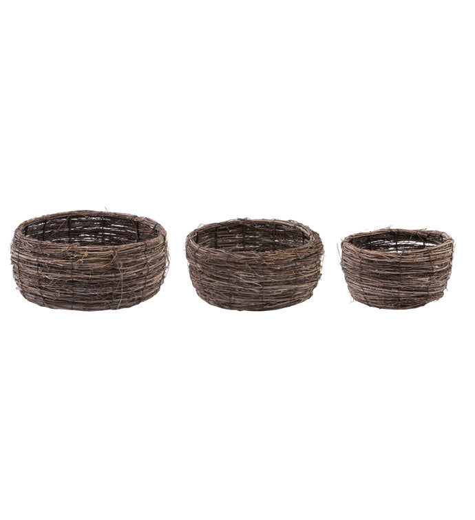 Woven Elm Dish Garden Medium