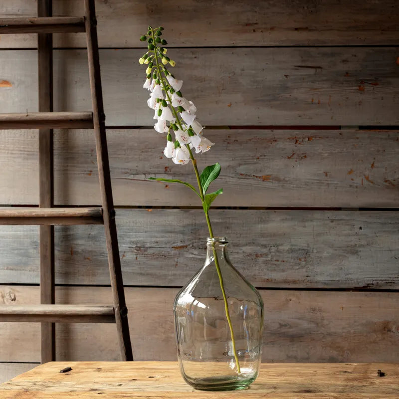 English Foxglove White
