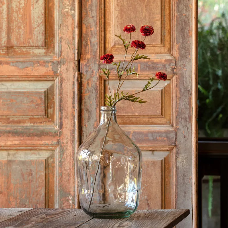 Aster Rust
