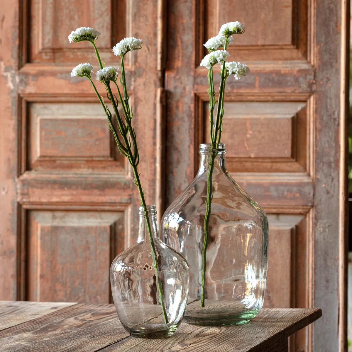 Statice White