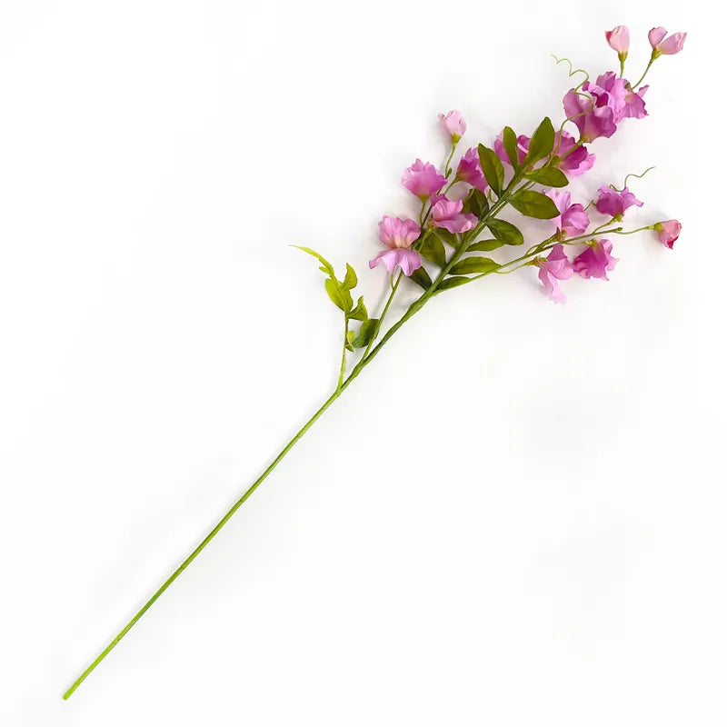 Sweet Pea Pink