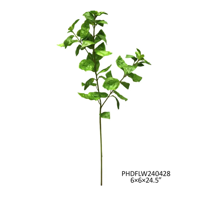 Basil Stem