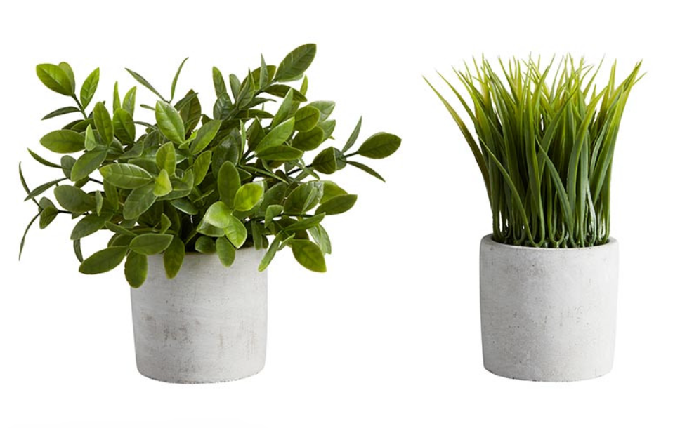 Artificial Plants Assorted - Cement Pot - Bush