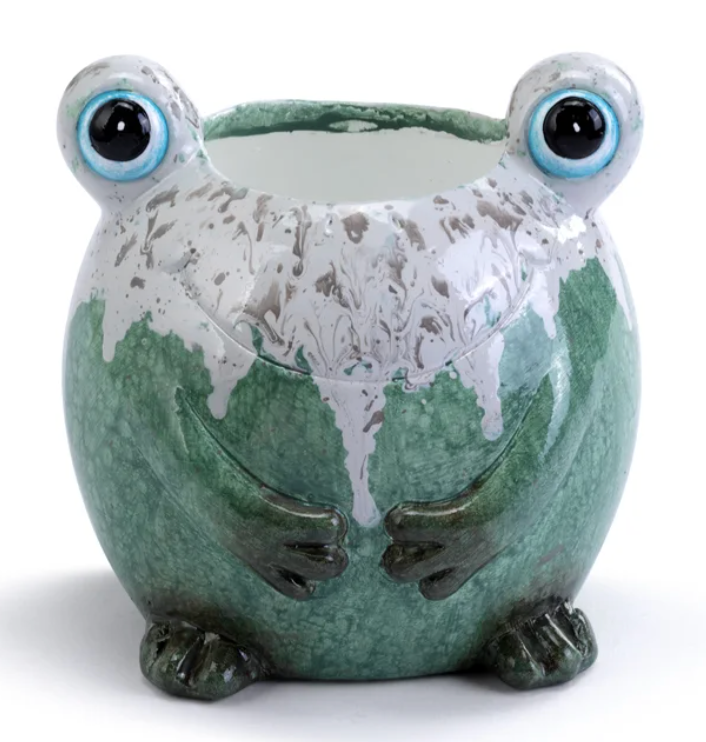 Big Eye Frog Planter
