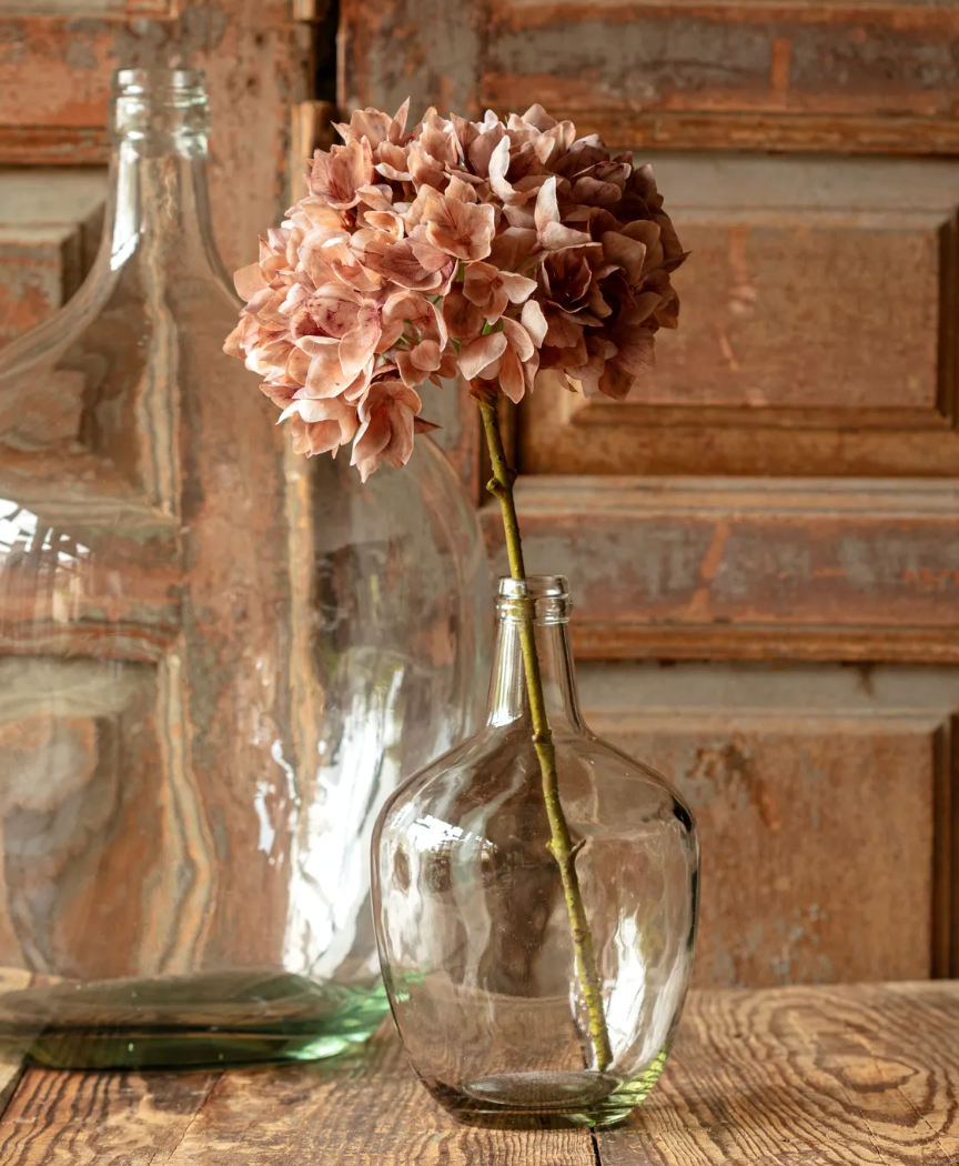 Hydrangea Antique Brown