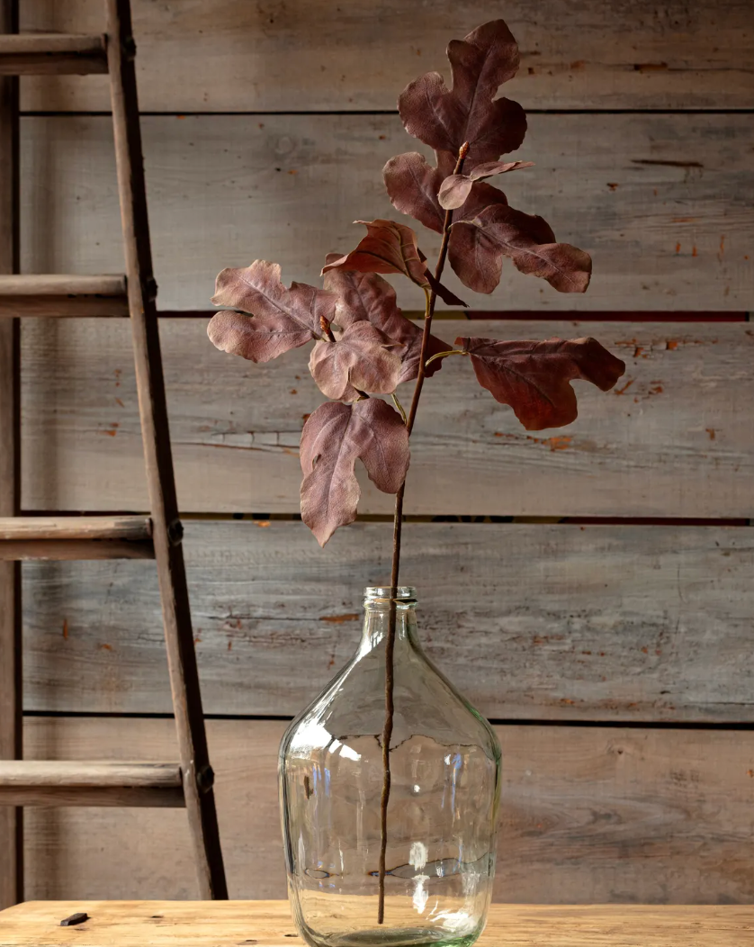 Autumn Fig Brown