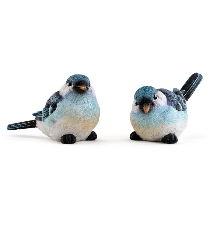Bluebird,