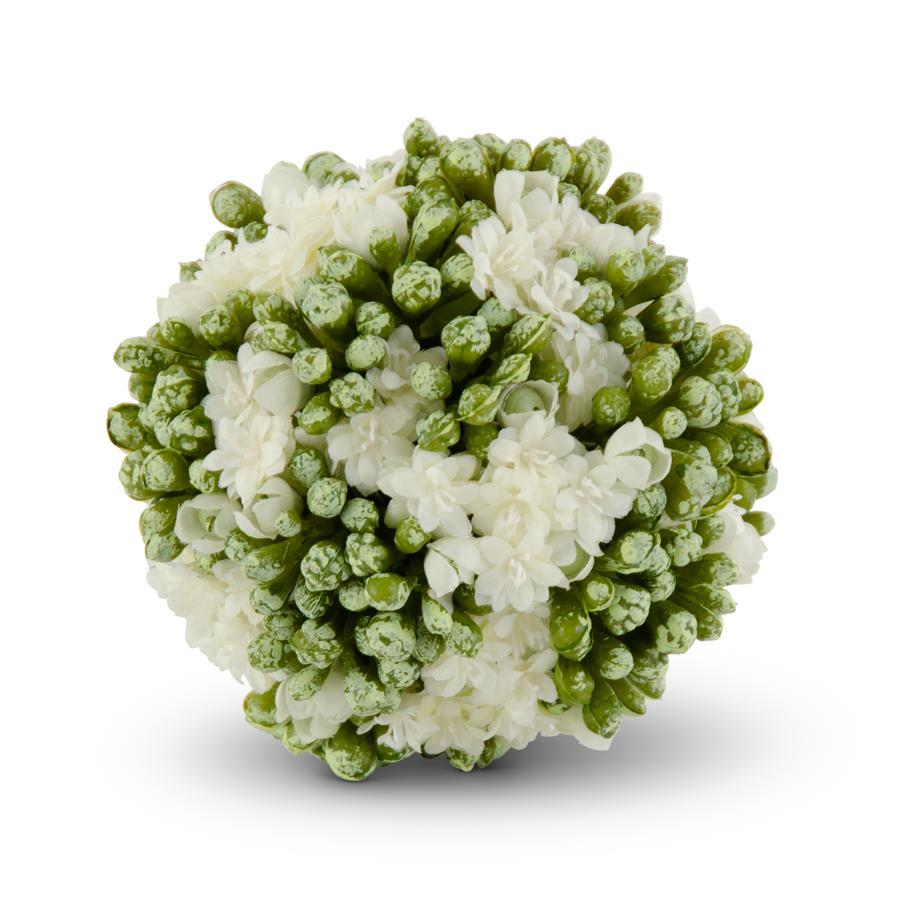 4 Inch White Kalanchoe Ball