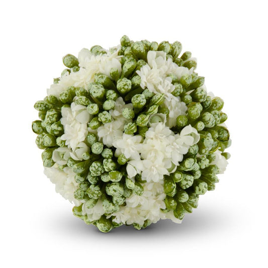 4 Inch White Kalanchoe Ball