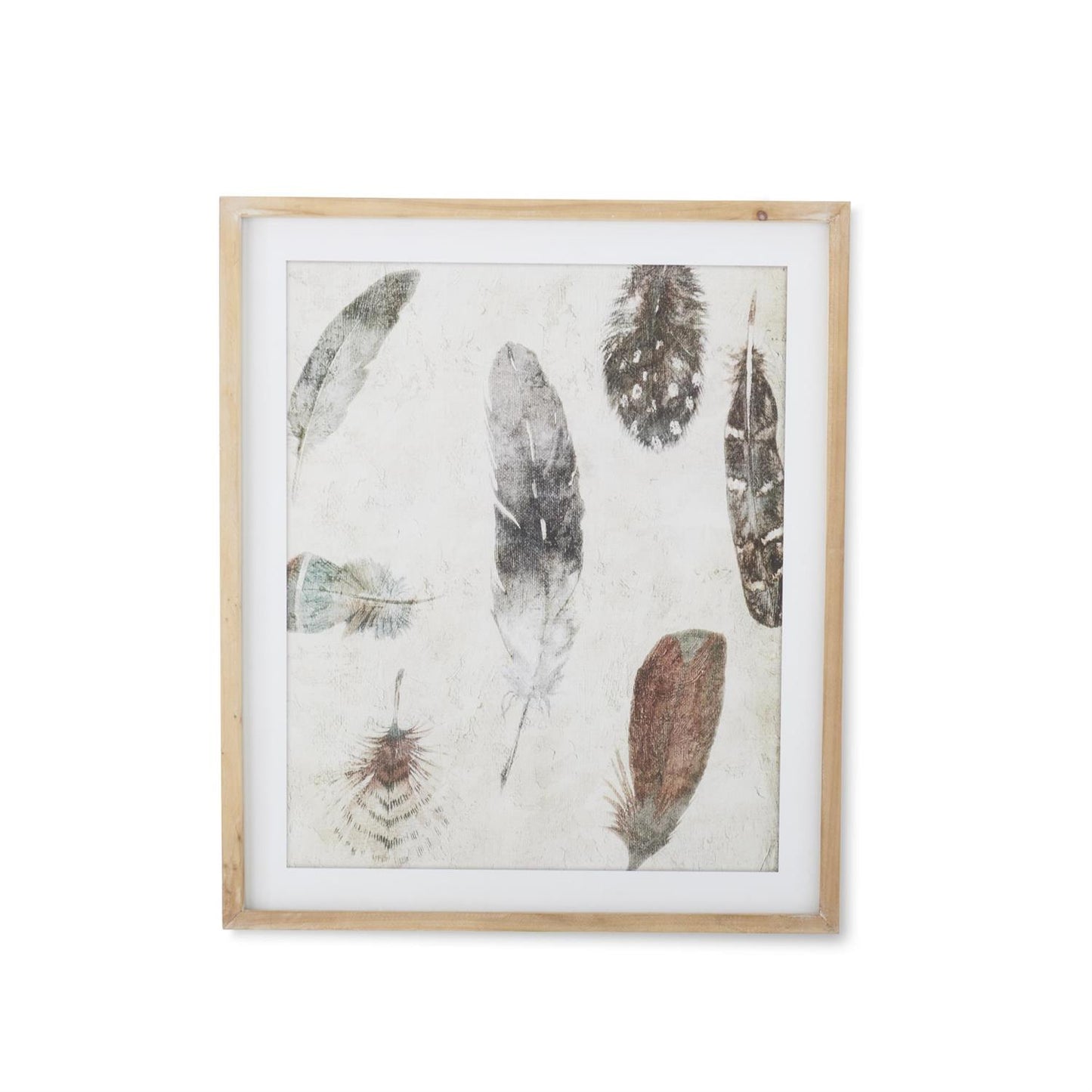 Assorted 27.5 Inch Natural Wood Framed Feather Print