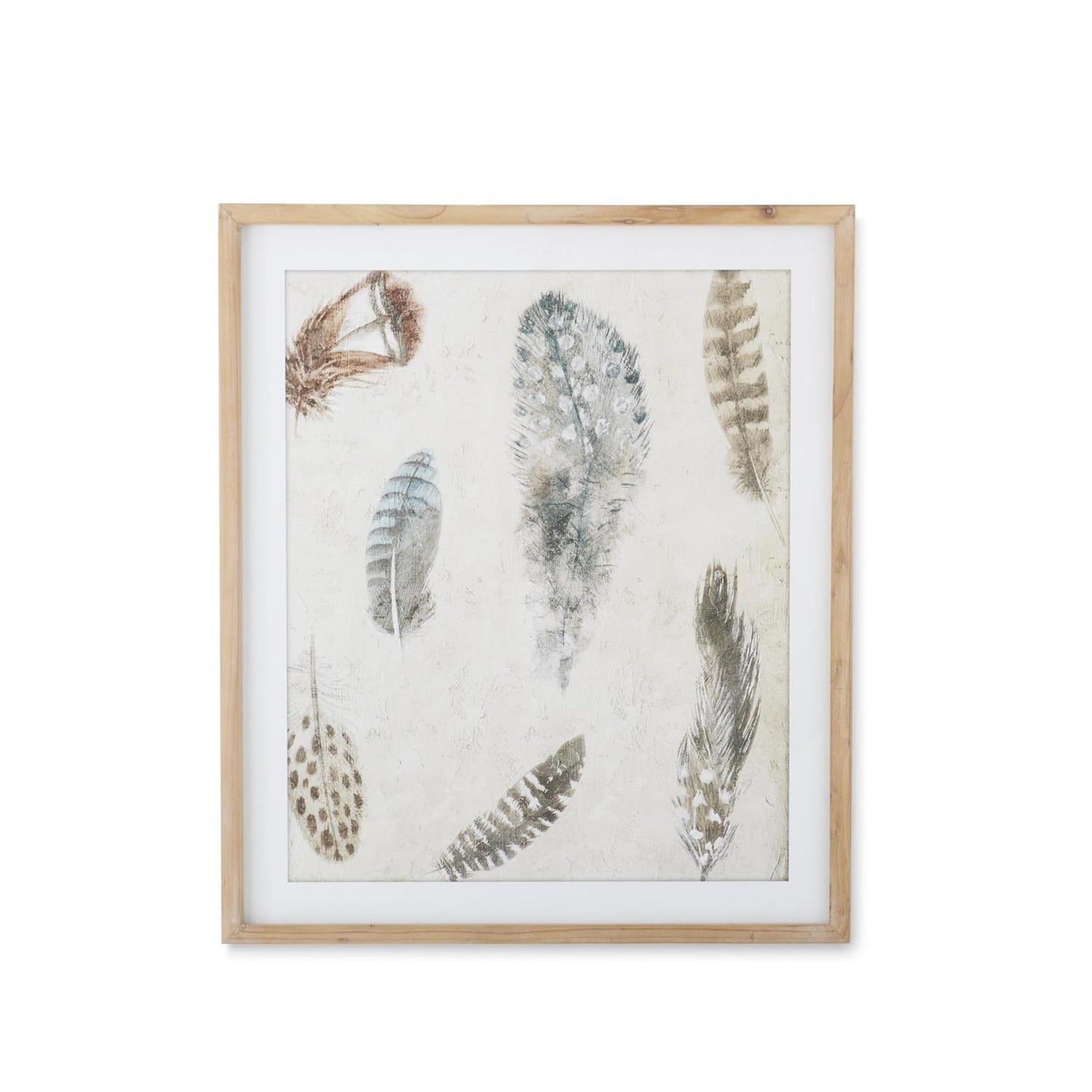 Assorted 27.5 Inch Natural Wood Framed Feather Print