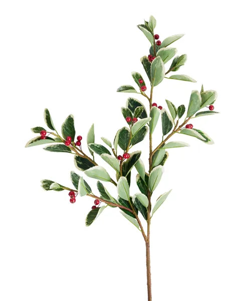 38"L Holly/Berry Spray