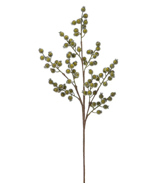 Bright Green Iced Berry Spray