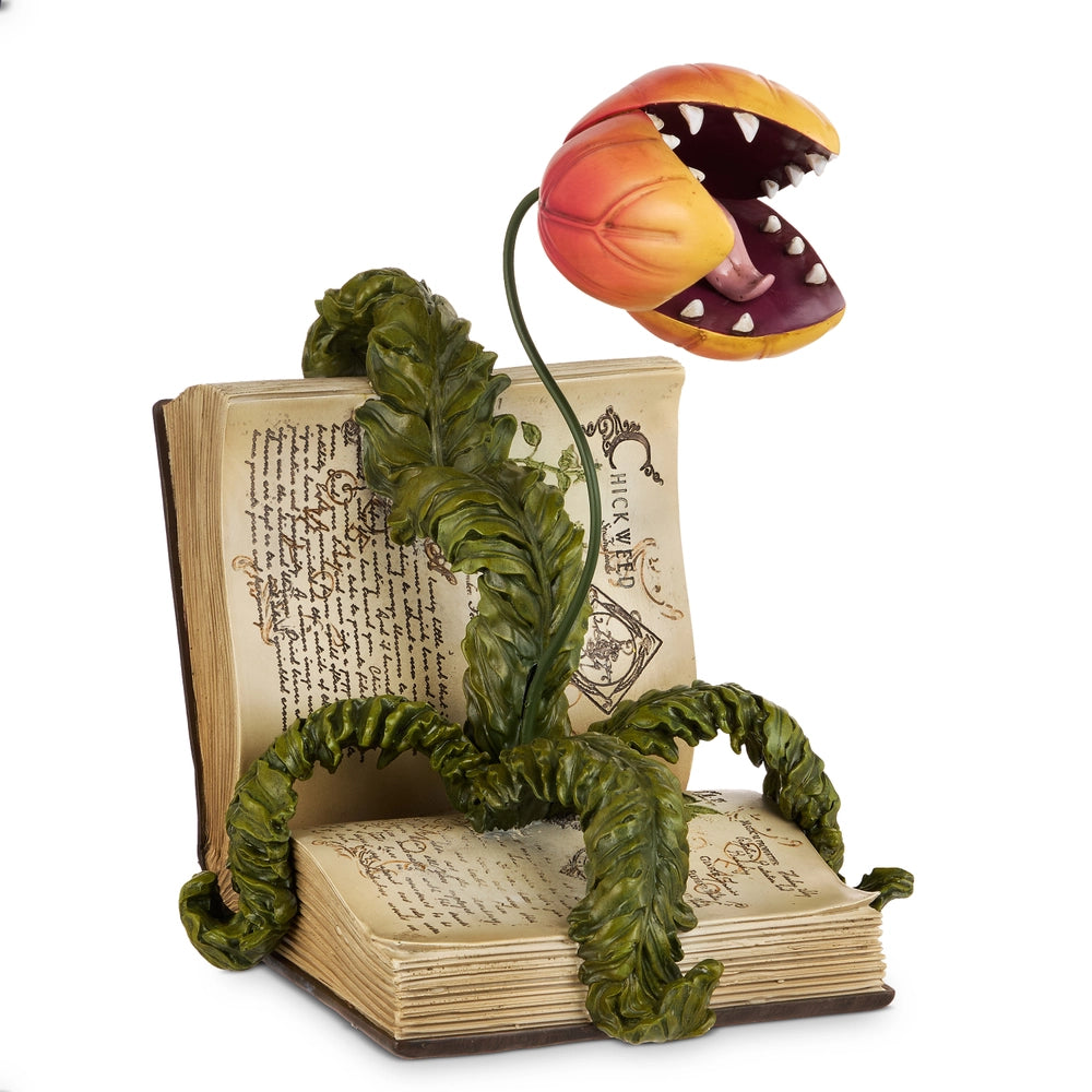 13" Venus Fly Trap in Book