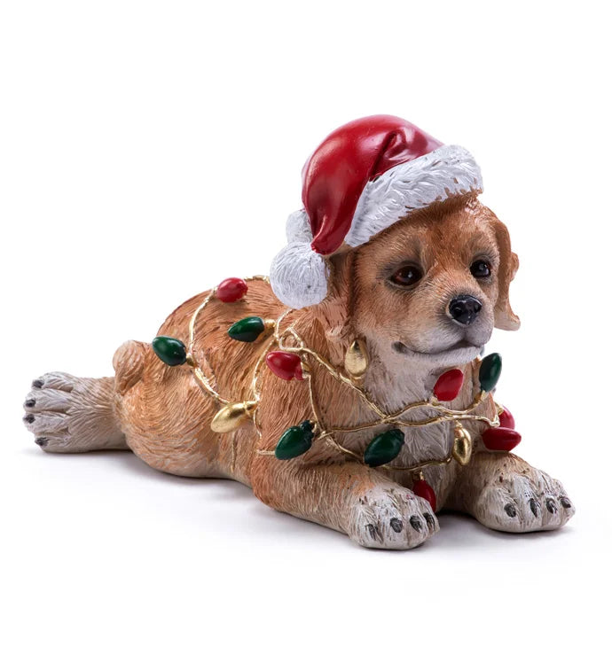 Dog with Christmas Lights