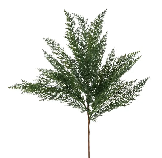 32" Arborvitae Spray