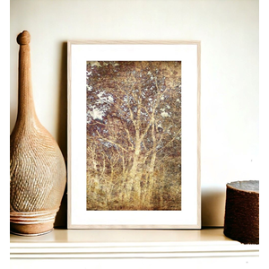 GOLDEN FOREST FRAMED & GLAZED 39.5×27.5″
