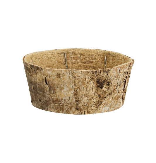 8" Birch Dish Garden