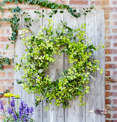 Oversized Mixed Foliage Wreath 30"D Polyester/Twig - GR