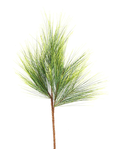 42"L Long Needle Pine Branch