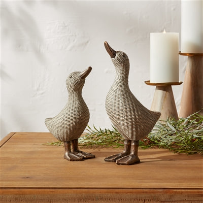 Duck