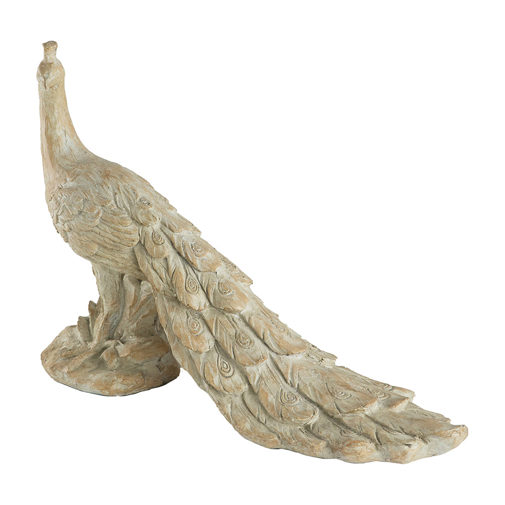 PEACOCK, 30x11X22
