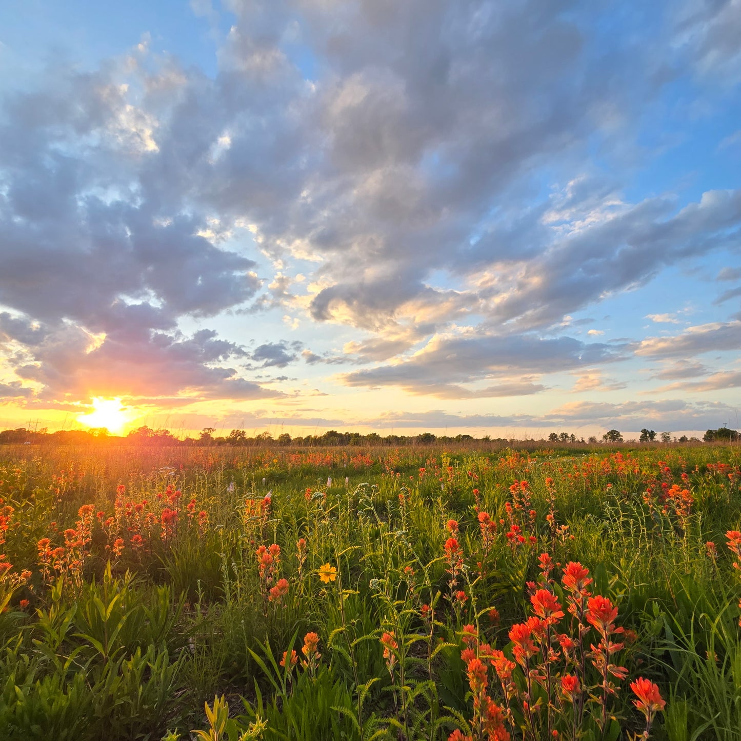 Dinner in the Prairie - Saturday, June 20th