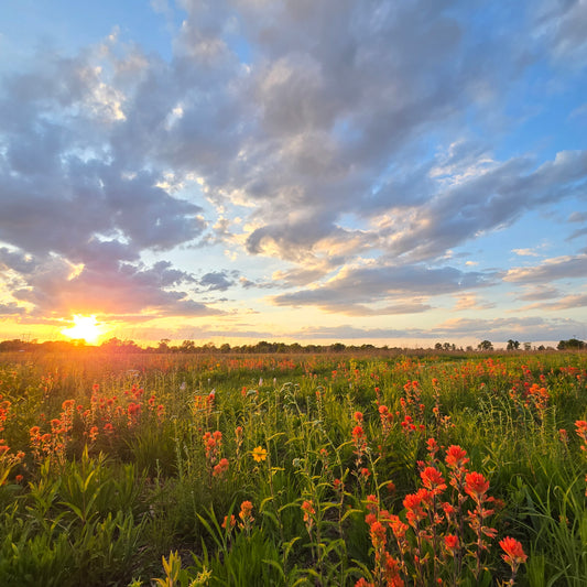 Dinner in the Prairie - Saturday, June 20th
