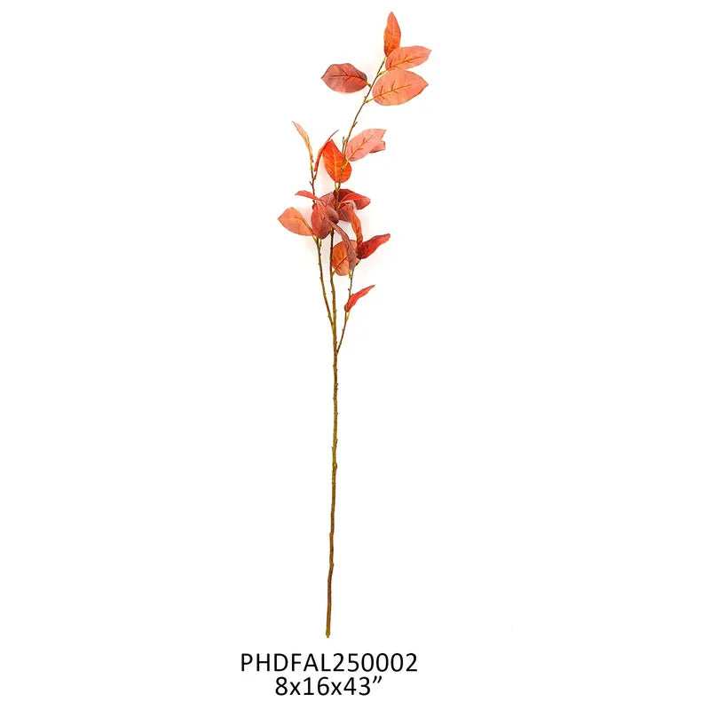 Cinnamon Salal Leaf Stem