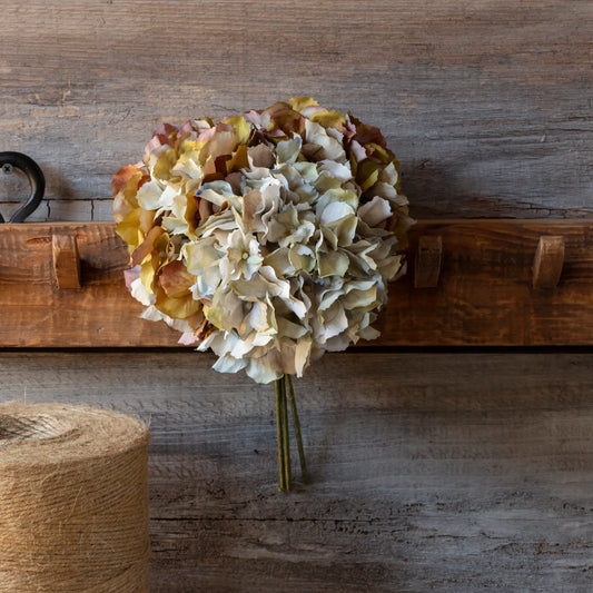 Hydrangea Bundle - Late Season Green-Blue