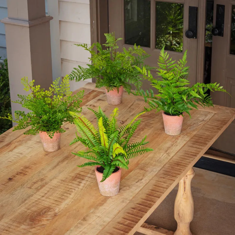 Green House Faux Fern Collection