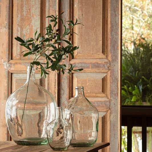 French Olive Branch