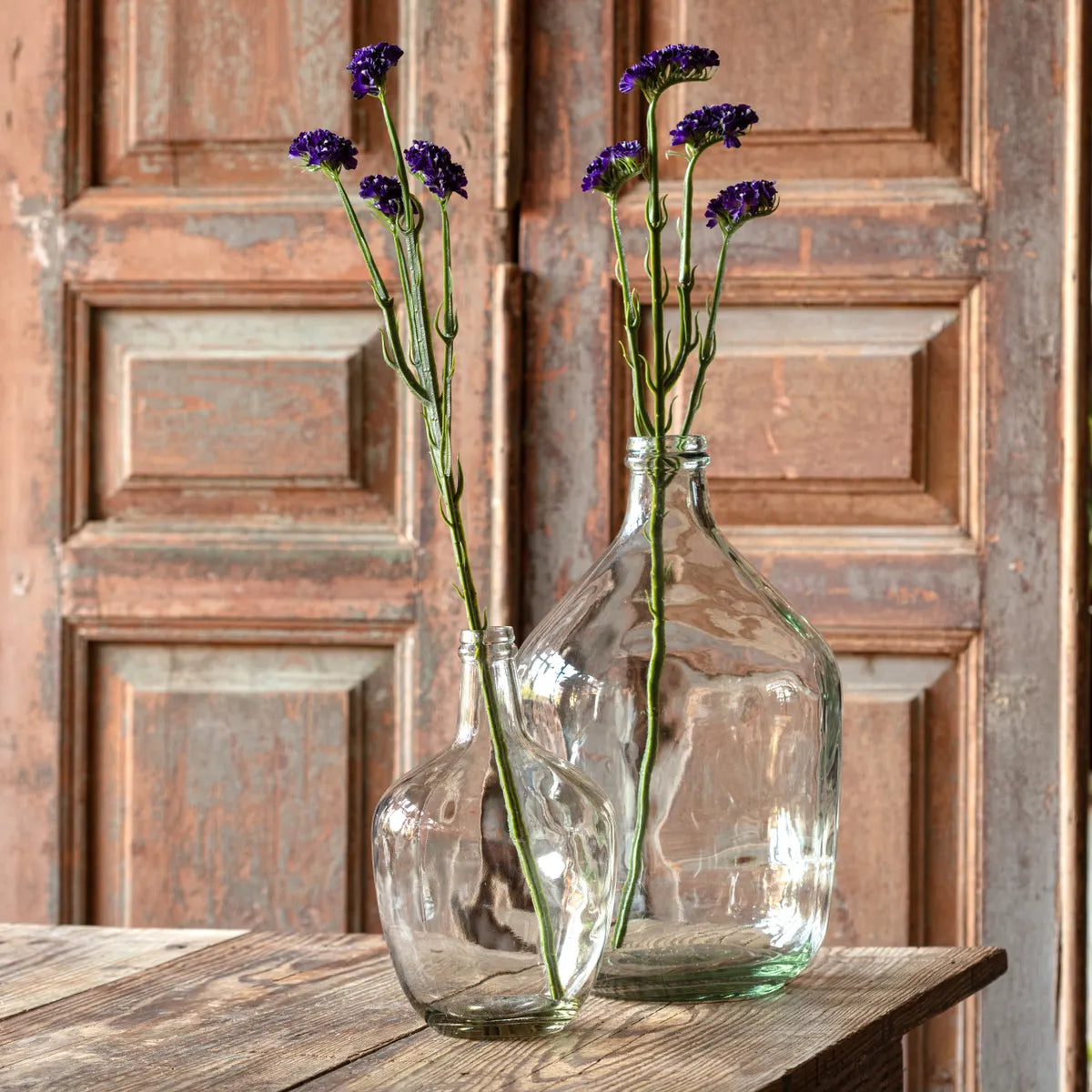 Statice Purple