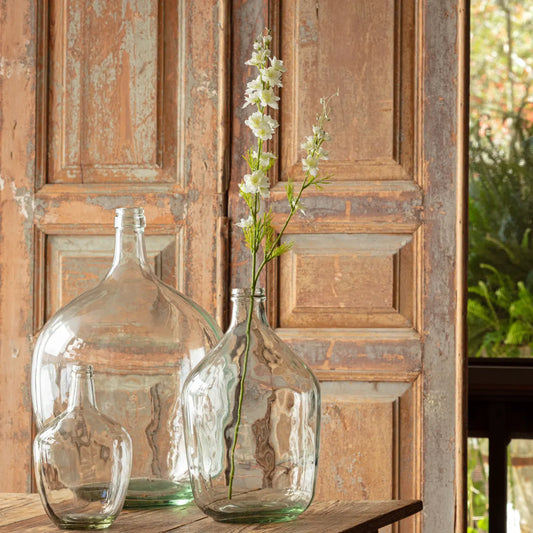 Larkspur White