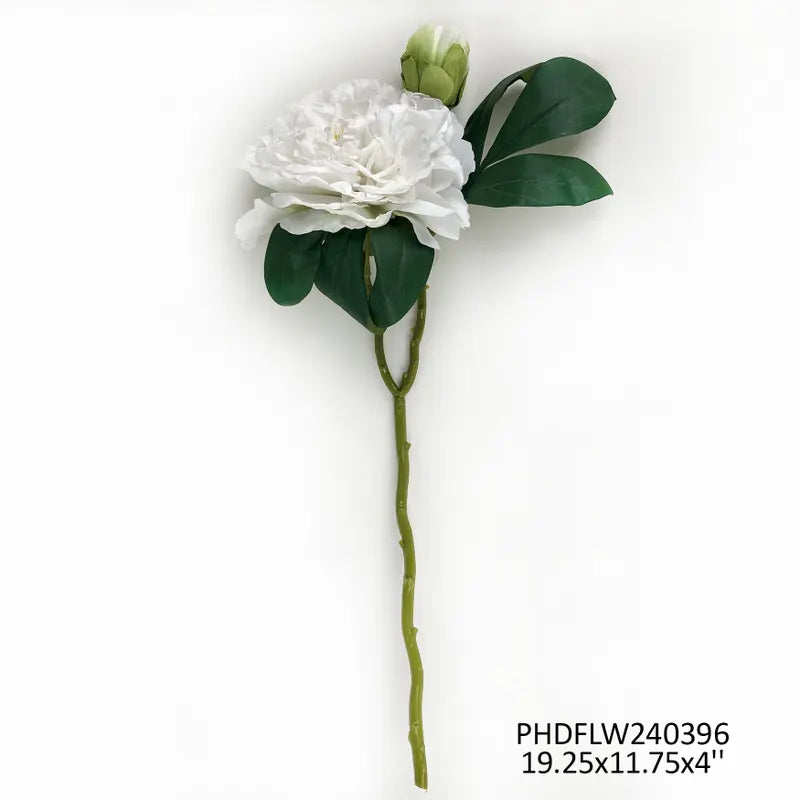 #1 French Peony White