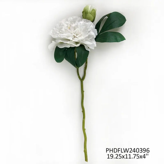 #1 French Peony White