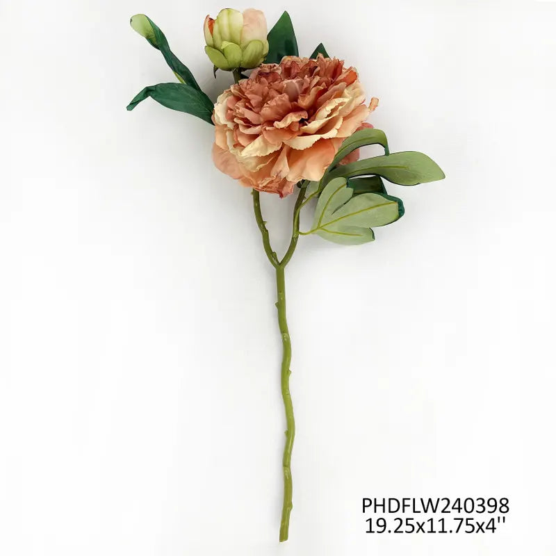 #3 French Peony Sorbet