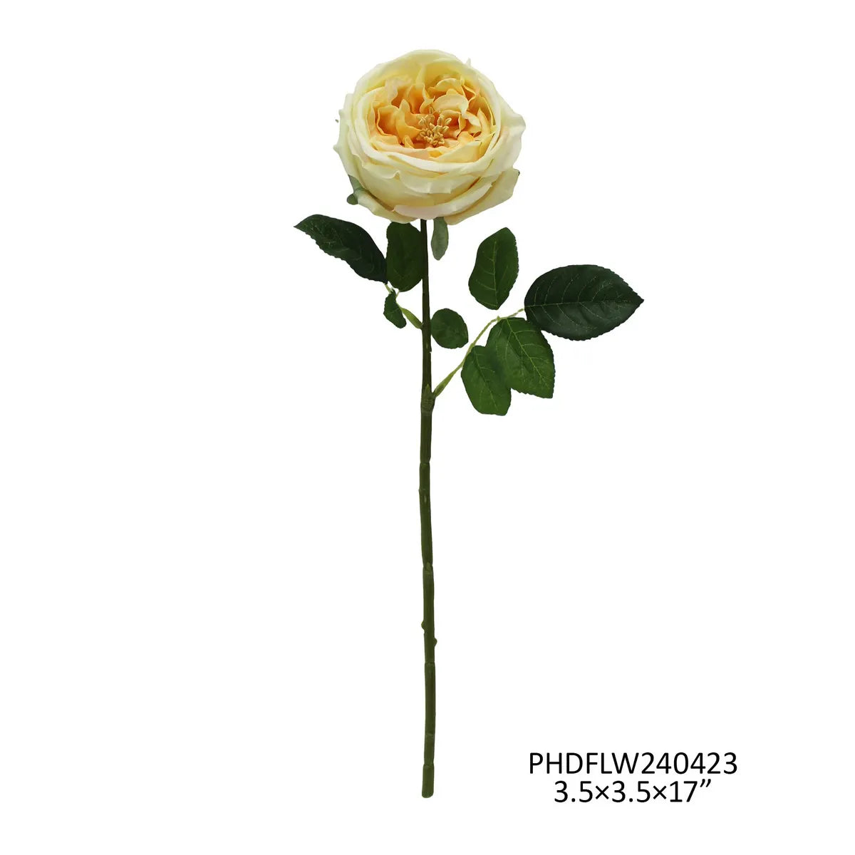 Austin Rose Yellow