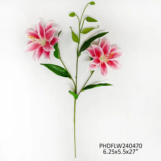 6# Crown Lily Pink