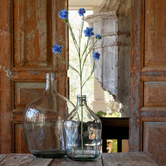 Bachelor Button Blue