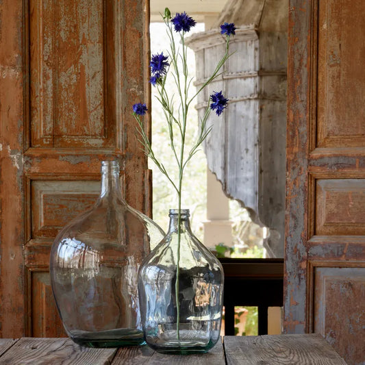 Bachelor Button Deep Blue