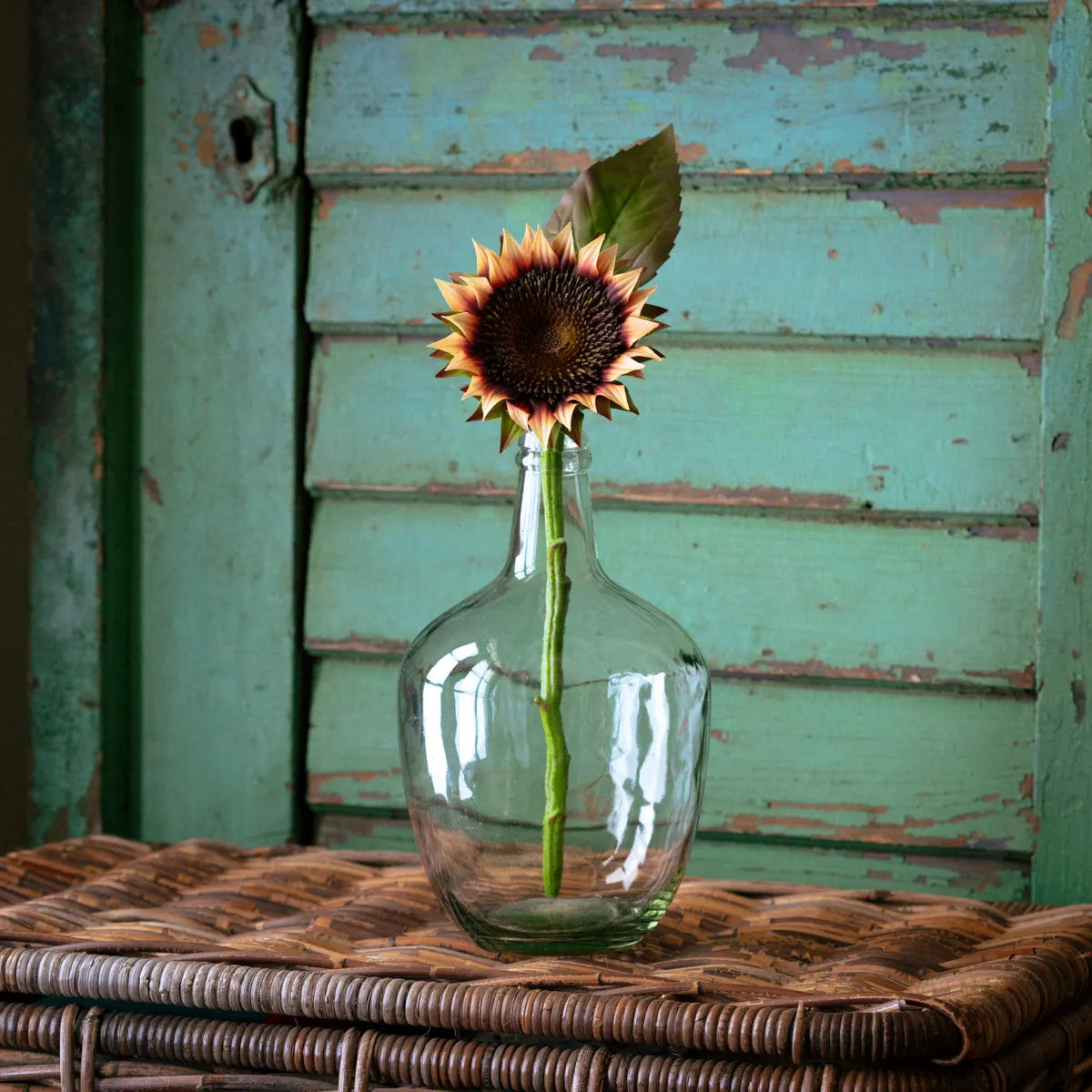 Desert Sunflower Cutting Stem