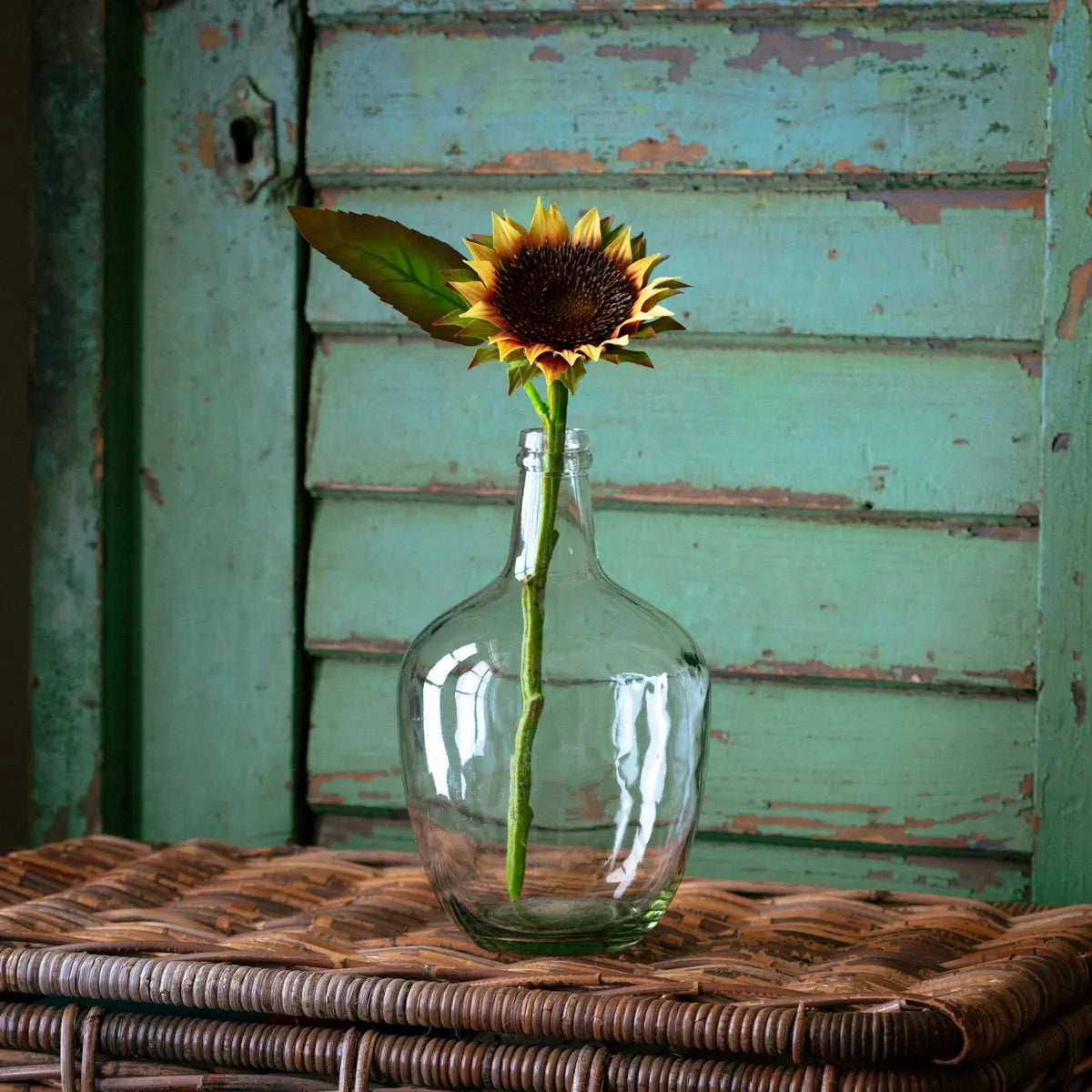 Tuscan Sunflower Cutting Stem