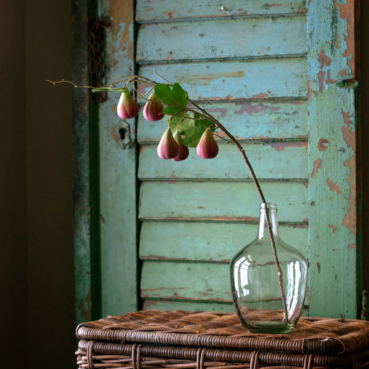 Fresno Fig Stem Red Green