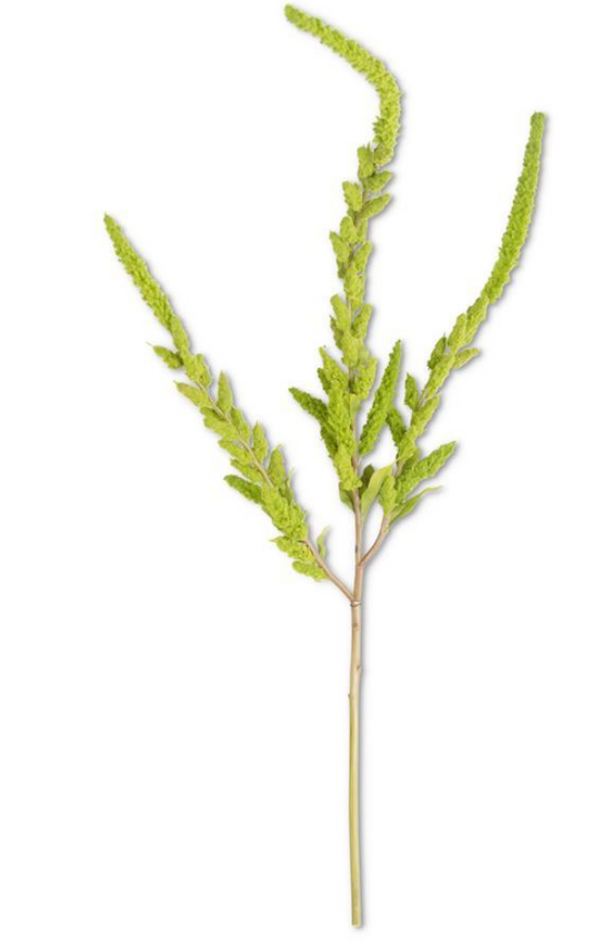 37 Inch Green Amaranthus Stem