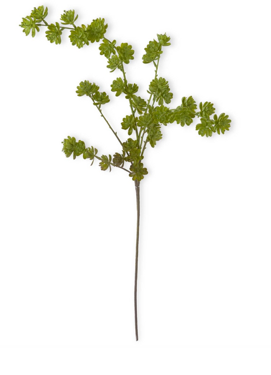 42 Inch Green Succulent Spray
