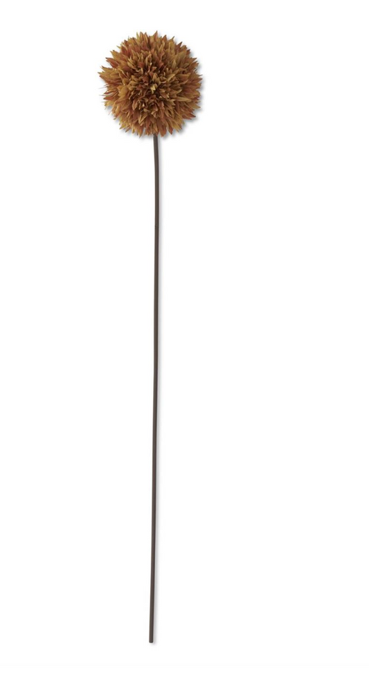 26 Inch Brown Allium Stem